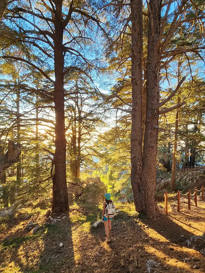 A sunset breathtaking walk in Lebanon