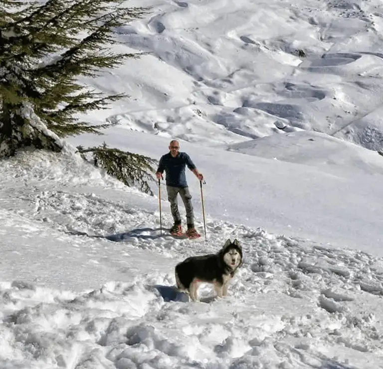Snowshoeing Adventures